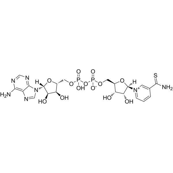 Thionicotinamide adenine dinucleotide (Thio-NAD) 4090-29-3